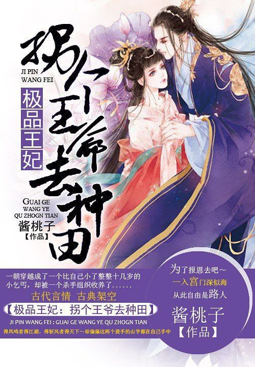 极品王妃:拐个王爷去种田