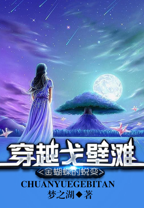 金蝴蝶的蜕变:穿越戈壁滩