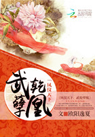 凤仪九天:武乾孽凰 封面