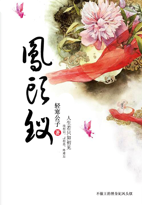 不做王的替身妃:凤头钗