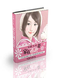 女婢下凡：家有调皮妻