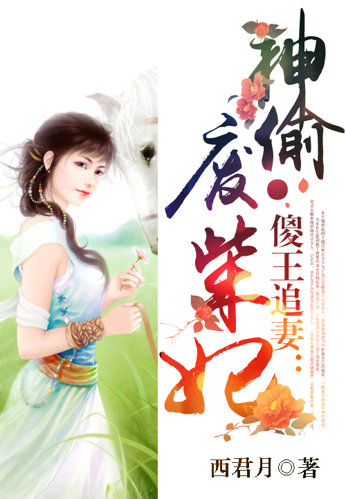 傻王追妻:神偷废柴妃