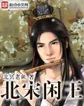 北宋闲王 封面