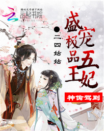 神偷驾到:盛宠极品五王妃