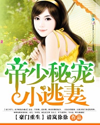 豪门重生:帝少秘宠小逃妻