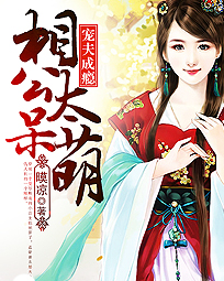 宠夫成瘾:相公太呆萌