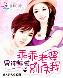 男神魅惑:乖乖老婆别休我