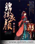锦绣良颜 封面