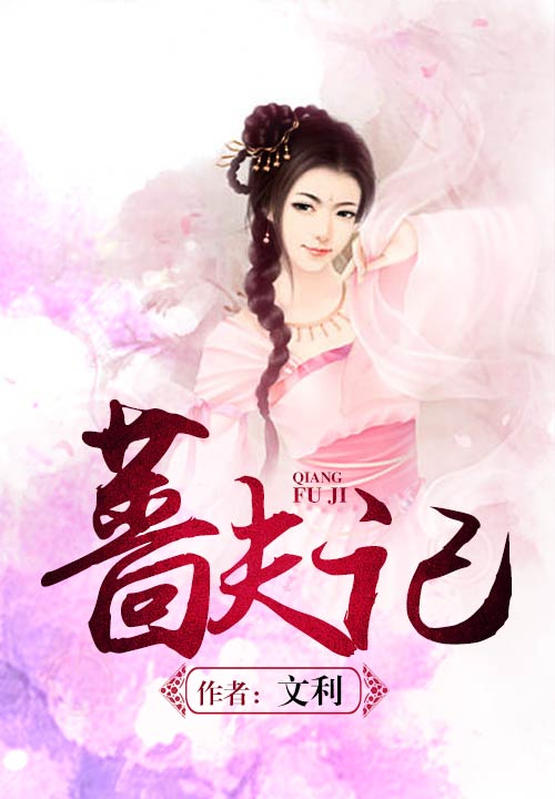 啬夫记 封面