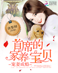 宠妻成瘾:首席的家养宝贝