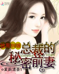 蚀骨纠缠:总裁的秘密前妻