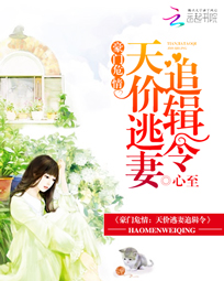 豪门危情:天价逃妻追缉令
