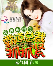 逃妻追缉令:霸道总裁抓抓紧