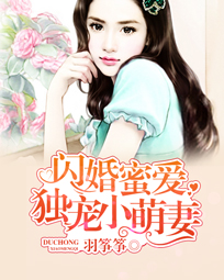 闪婚蜜爱:独宠小萌妻