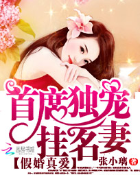 假婚真爱:首席独宠挂名妻