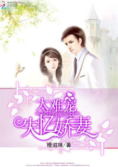隐婚蜜爱:失忆娇妻太难宠