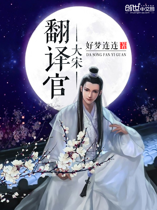 大宋翻译官 封面