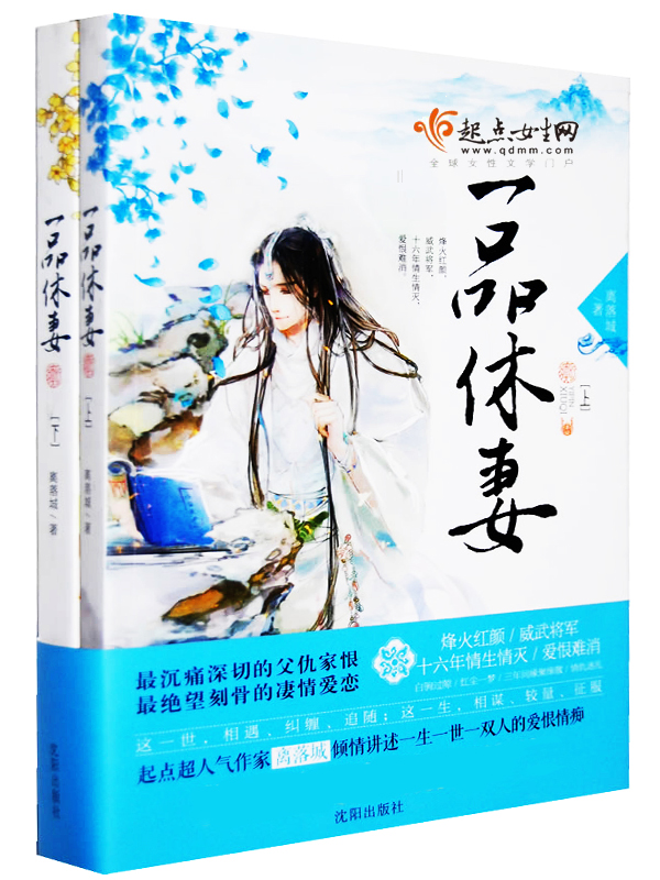 一品休妻
