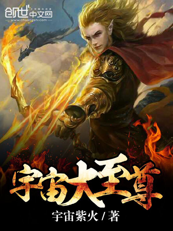 宇宙大至尊 封面
