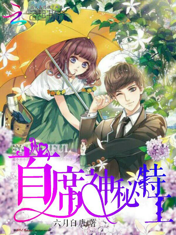 首席特工,请留步