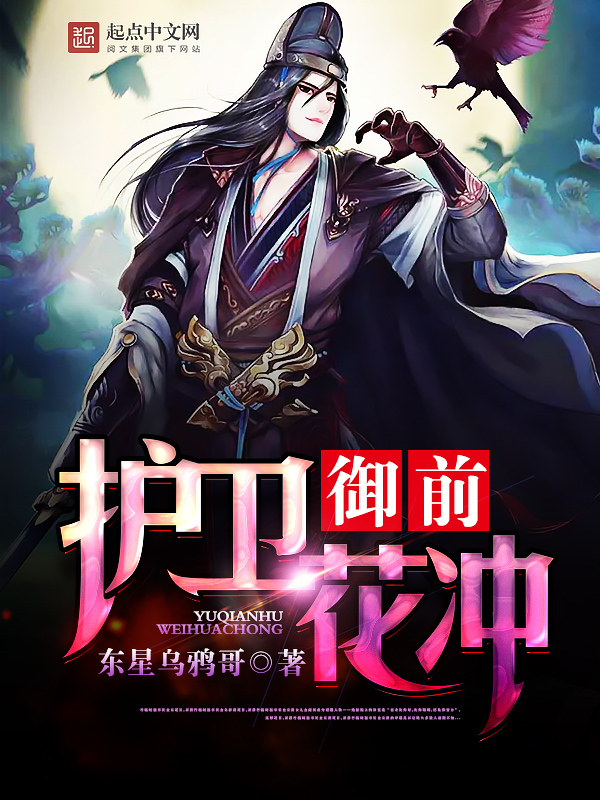 御前护卫花冲 封面