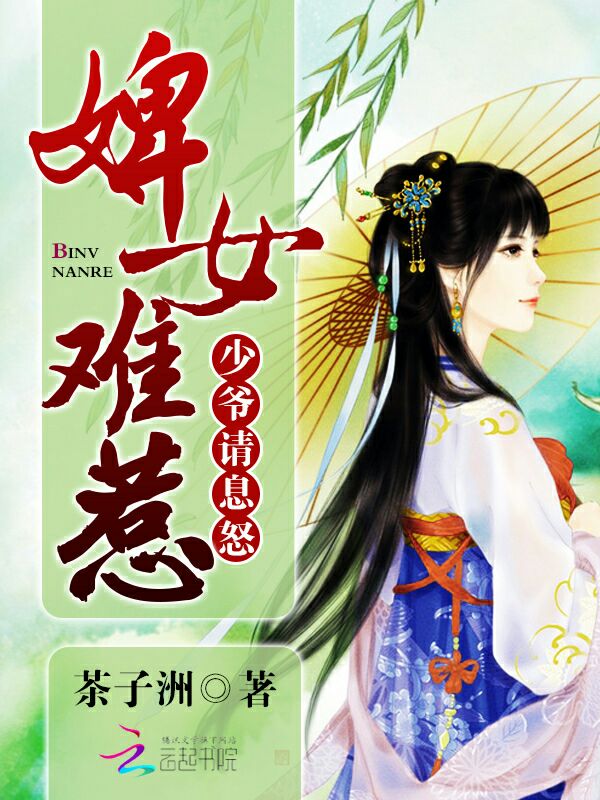 婢女难惹:少爷请息怒