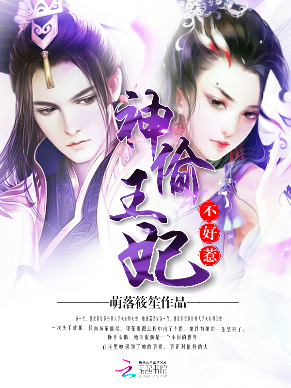 神偷王妃不好惹