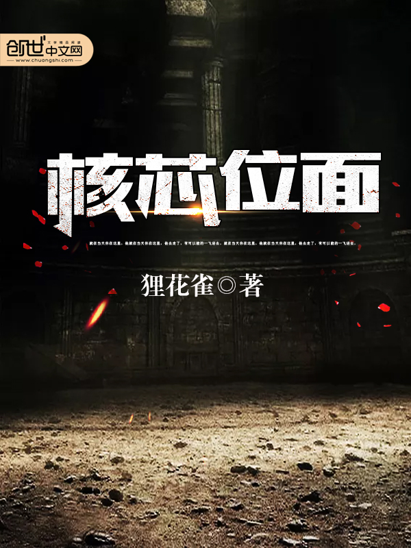 核芯位面 封面