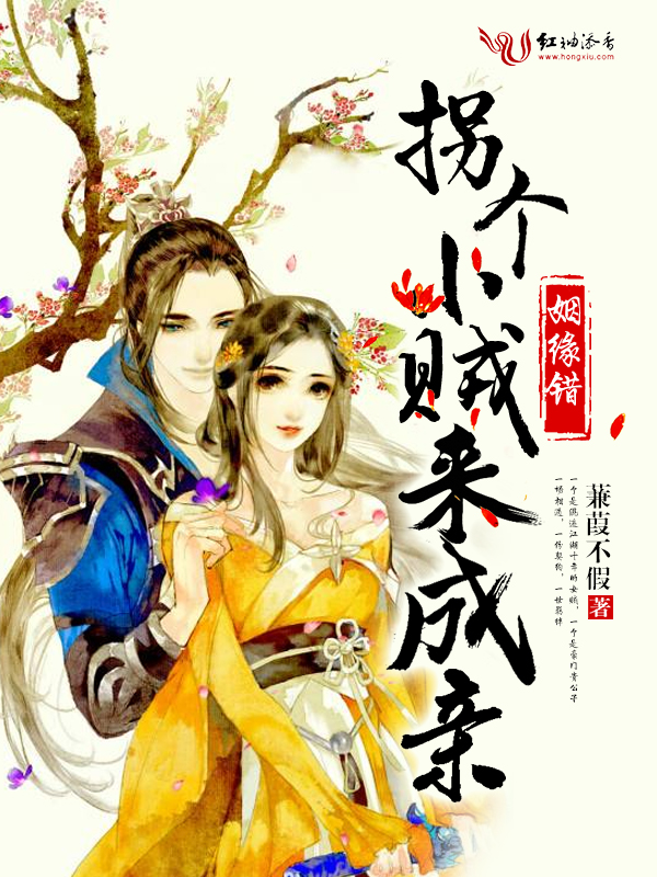 姻缘错:拐个小贼来成亲