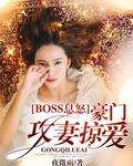 boss息怒：豪门攻妻掠爱 封面