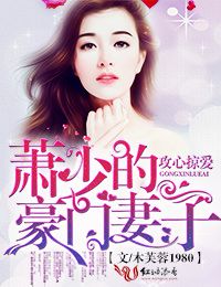 萧少的豪门妻子