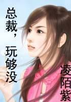 总裁,玩够没