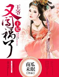 王爷,王妃又闯祸了
