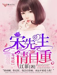 一宠成瘾:宋先生请自重