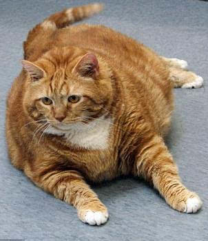 大匪徒系统, 大匪徒系统全文阅读, 大匪徒系统最新章节, 潇湘书院