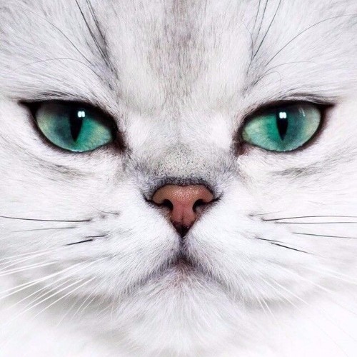 《你是我最爱的点心》小说在线阅读_全文免费完结无删减 – 潇湘书院