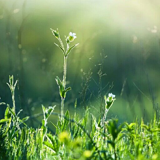 重生之电子风云