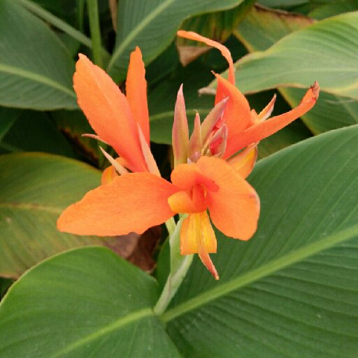 奸臣是妻管严_画媚儿著_古代言情小说_奸臣是妻管严txt下载_奸臣是