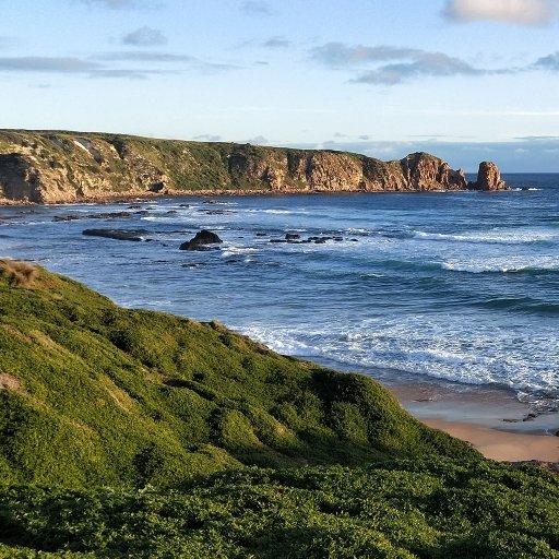 毒医宠妃:殿下,太腹黑