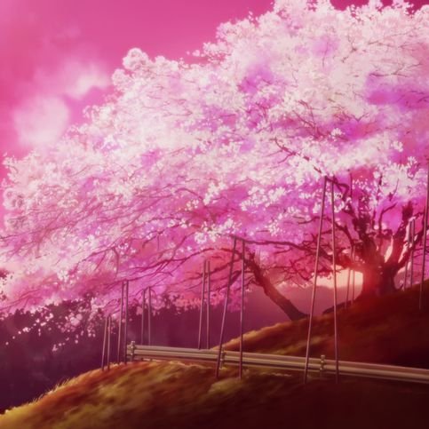 现代言情  你只是我的心上人姬妧  作品总数 2  累计