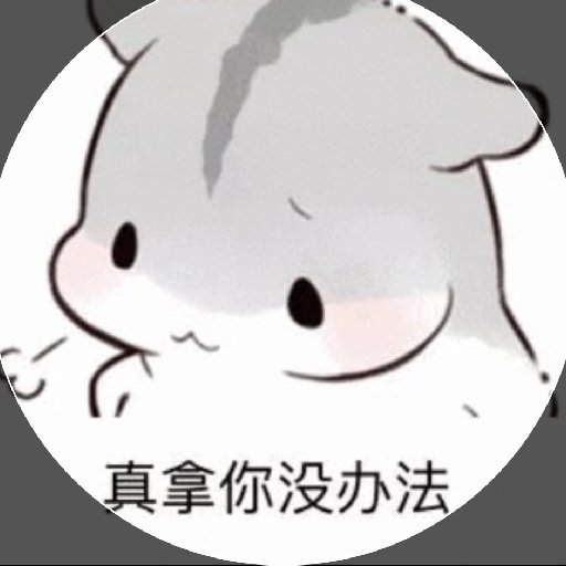 柠檬味仓鼠