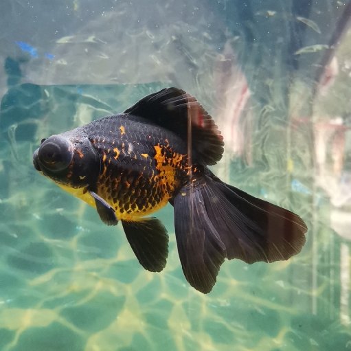 精粤的全部小说作品_精粤作品排行榜 – 红袖读书