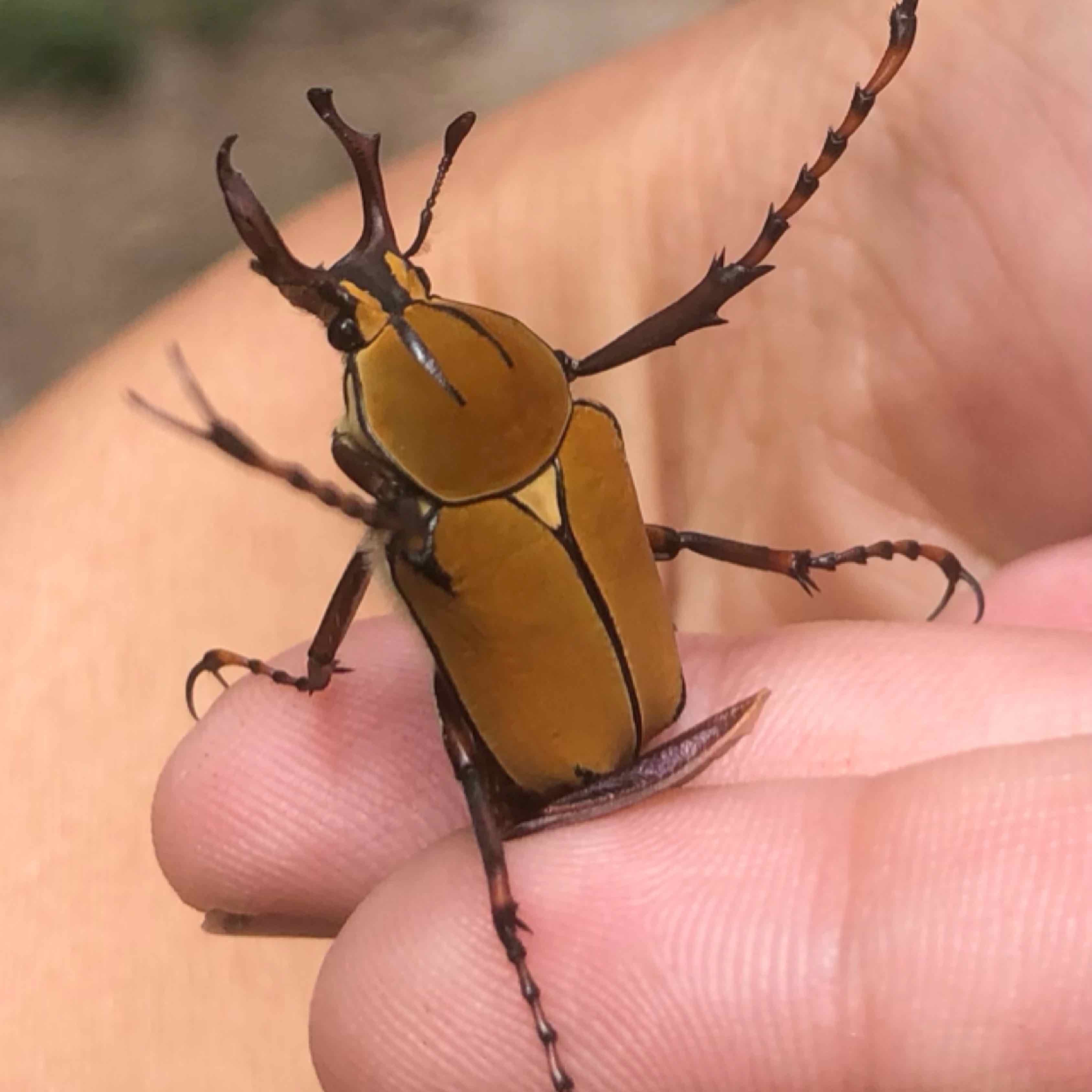 第5章 救了蚁人一命