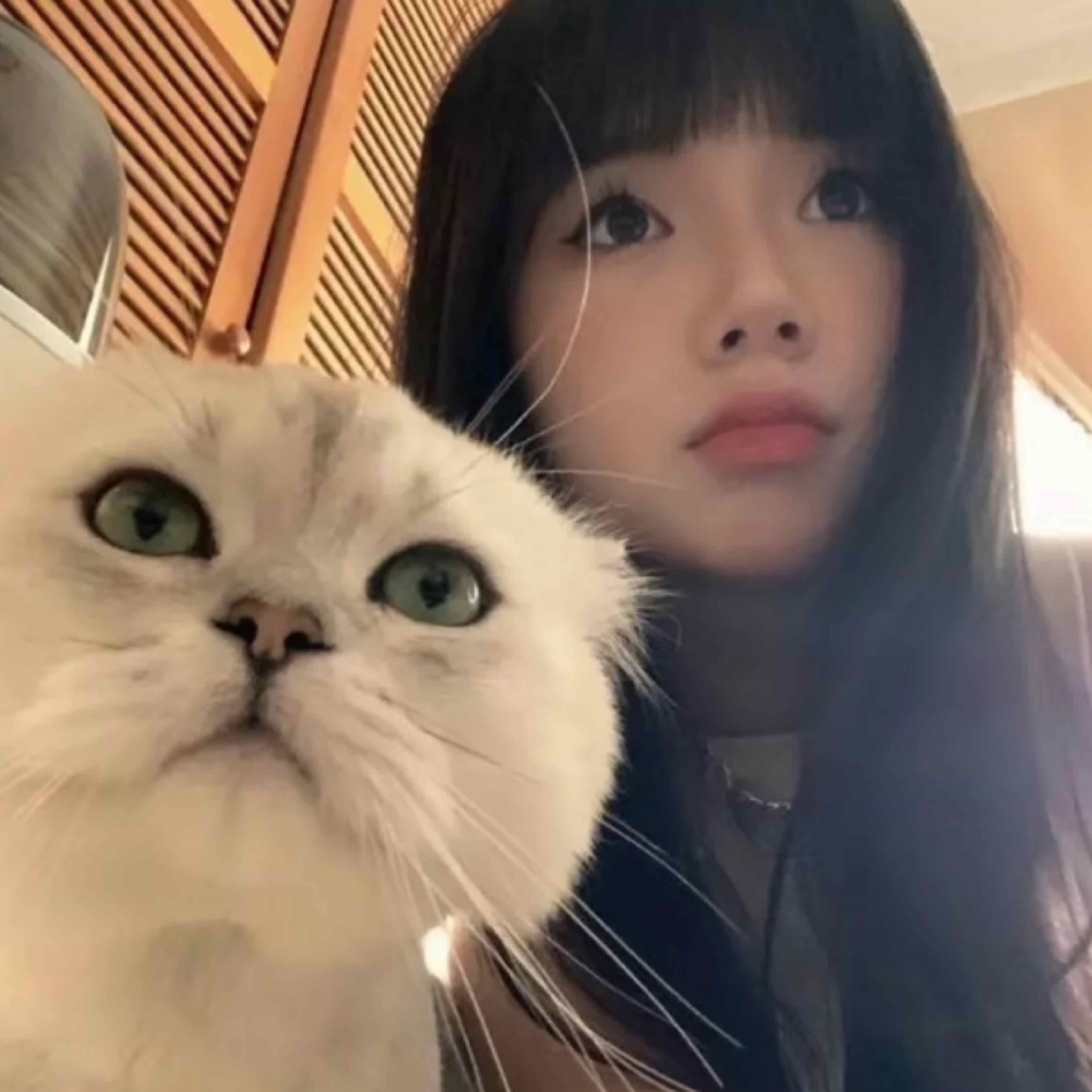 qq