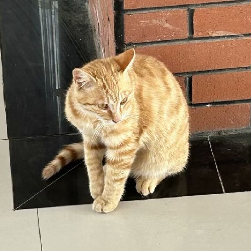 春若