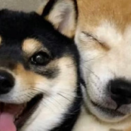 周周都瘦
